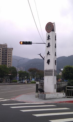 20240929rzggn