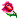 20240929f66ir